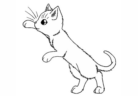 Раскраска маленькая кошечка