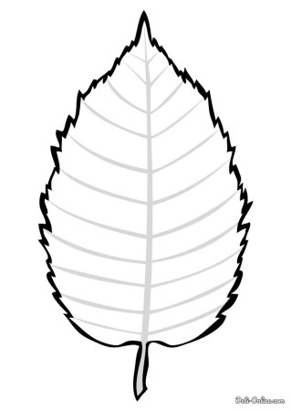 Листья рисунок