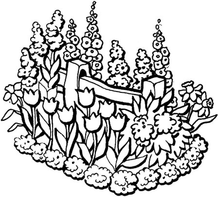 Клумба с цветами раскраска