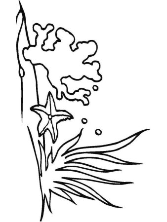 Раскраска морские водоросли