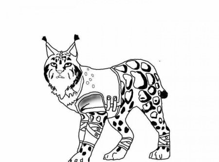 Раскраска WILDCRAFT