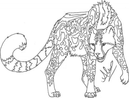 Раскраска WILDCRAFT