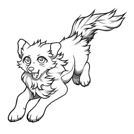 Раскраска WILDCRAFT
