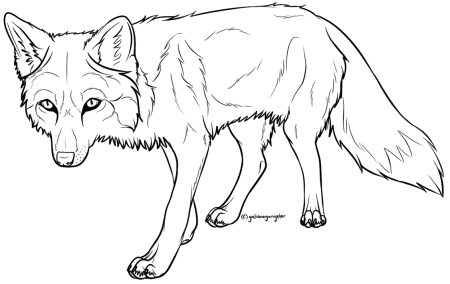 Раскраска лисы