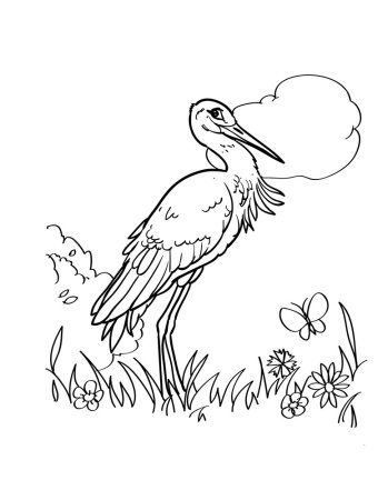 Аист раскраска