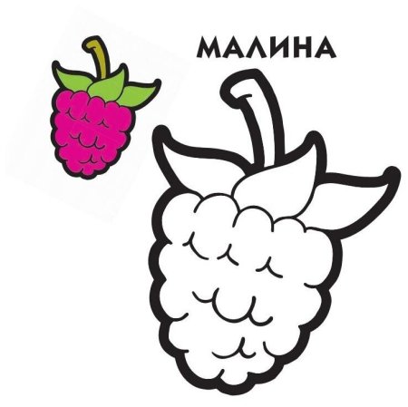 Малина контур