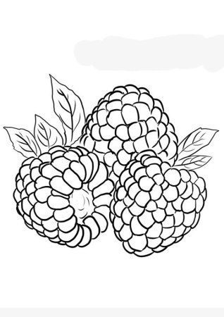 Raspberry раскраска для детей
