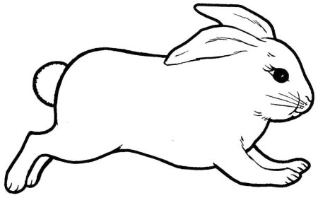 Картинки раскраски кролик (53 фото)