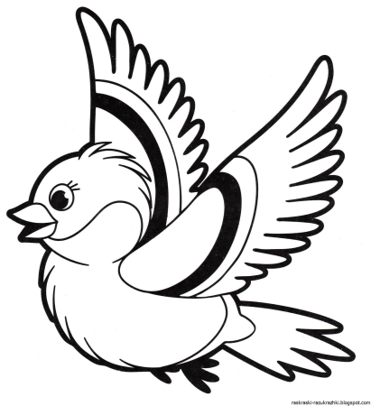 Птицы. Раскраска