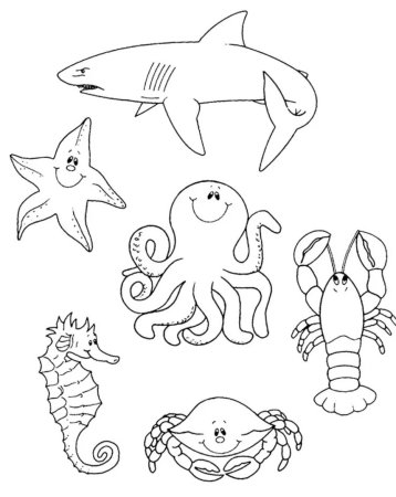 Раскраска. Морской мир