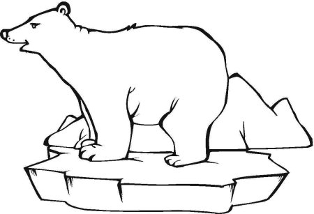 Картинки раскраски белый медведь (52 фото)