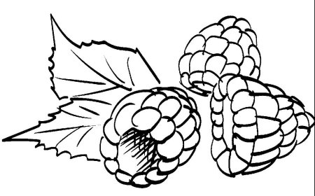 Малина раскраска