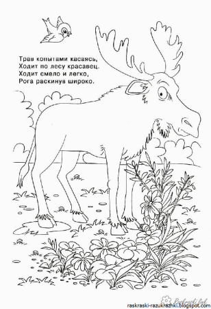 Раскраски загадки