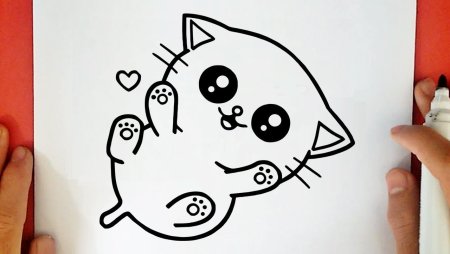 Кавайный котик раскраска