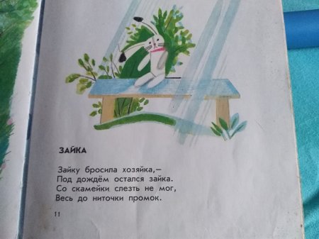 Стишок про зайку бросила