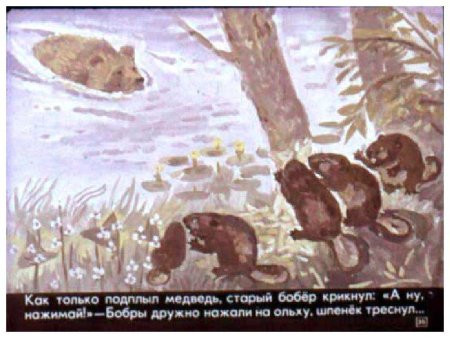Рисунок к рассказу дремучий медведь Паустовский