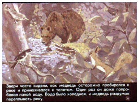 Картина о дремучем медведе Паустовский