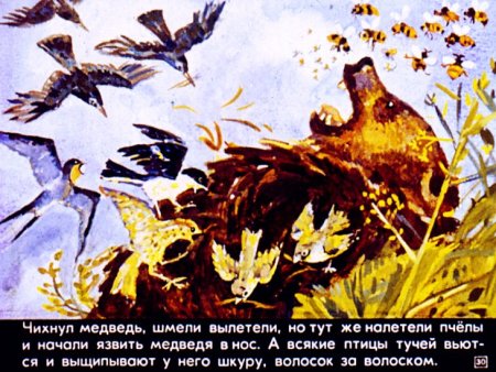 Дремучий медведь Паустовский иллюстрация к рассказу