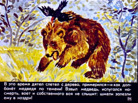 Рассказ Паустовского дремучий медведь