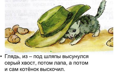 Живая шляпа рисунок