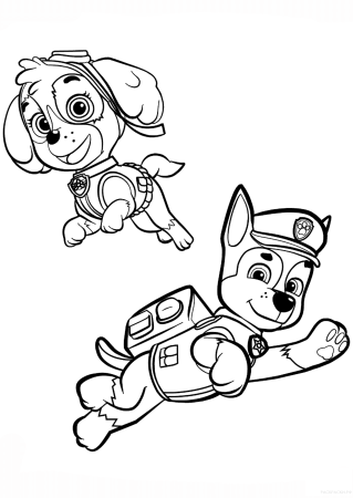 Paw Patrol Sky раскраска