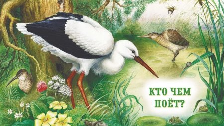 Виталий Бианки "кто чем поет?"