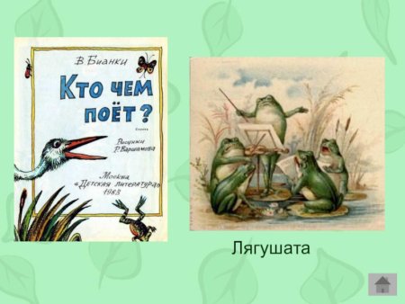 Иллюстрации Виталий Бианки кто чем поёт