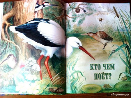 Бианки в.в. "кто чем поет?"