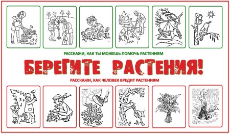 Плакат береги растения