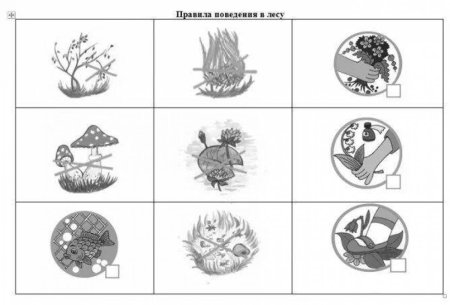 Правила поведения в лесу задания для дошкольников