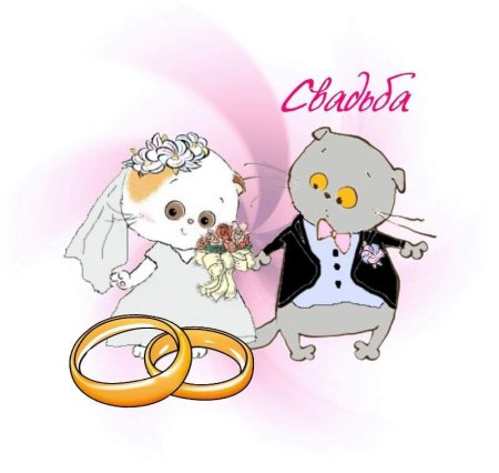 Раскраска кот Басик