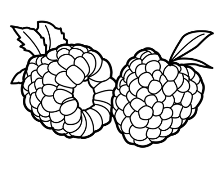 Контур ягоды малины