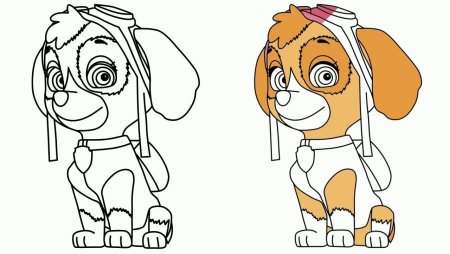 Paw Patrol Ausmalbilder