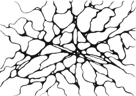 Линия Пискарева нейрографическая