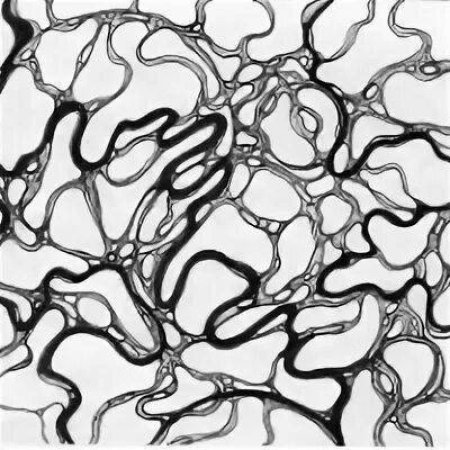 Нейрографика черно белая