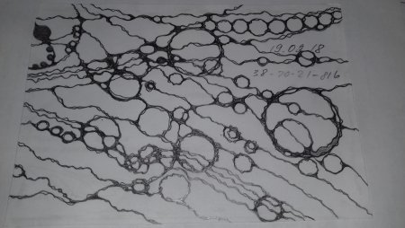 Нейрографика раскраска