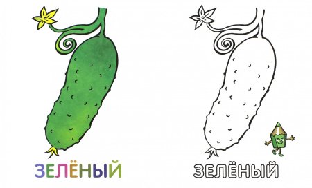 Огурец раскраска
