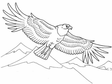 Орел раскраска