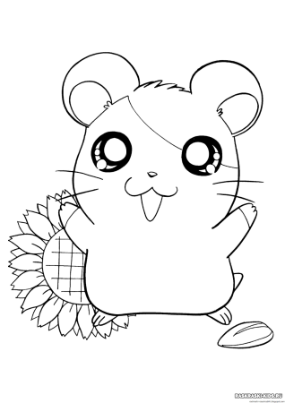 Раскраска хомячок