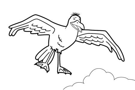 Чайки раскраска