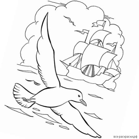Раскраска Чайки над морем