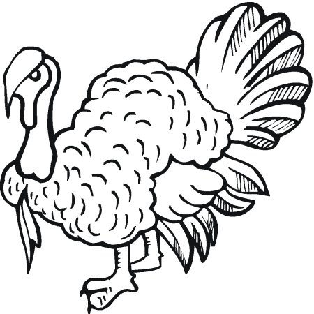 Turkey индюк for Kids