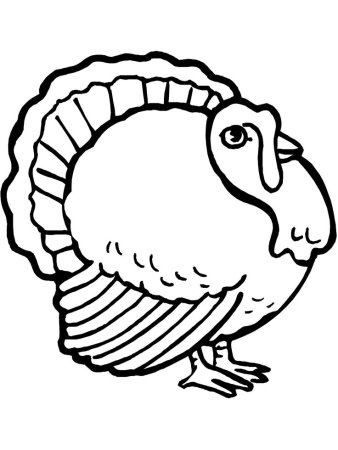 Turkey индюк for Kids
