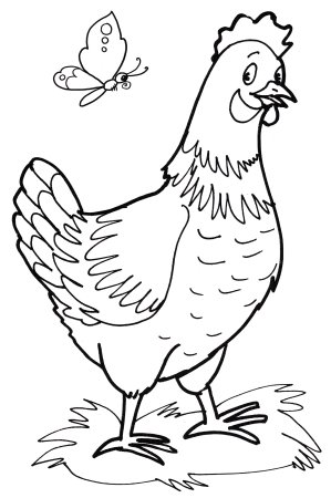 Курица раскраска
