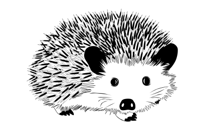 Раскраска Ёжик