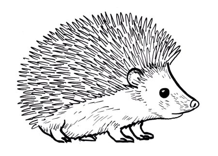 Ежик рисунок
