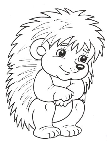 Еж раскраска