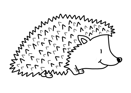 Ёжик раскраска для детей