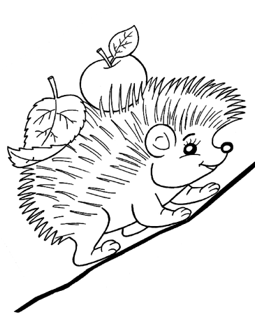 Раскраска Ёжик