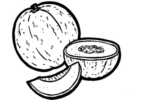 Раскраска фрукты дыня
